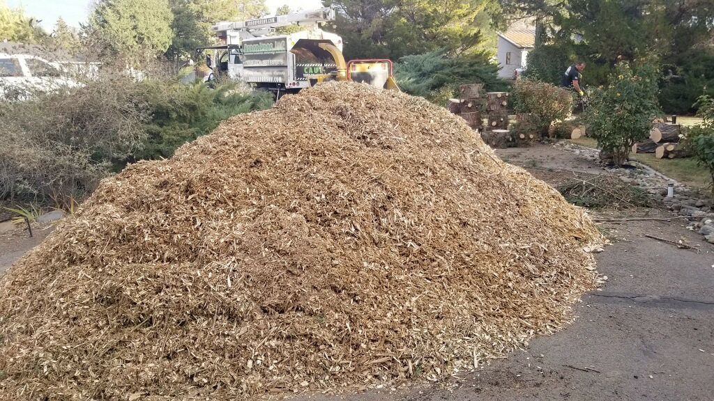 Seven Reasons Why You Need Mulch!